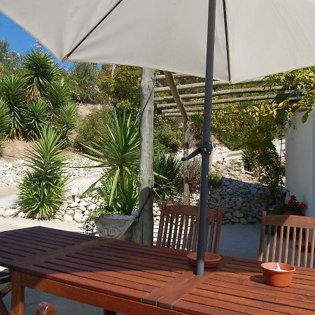 A Perfect Villa With Pool Terrace And Garden Alcobaca Exterior photo