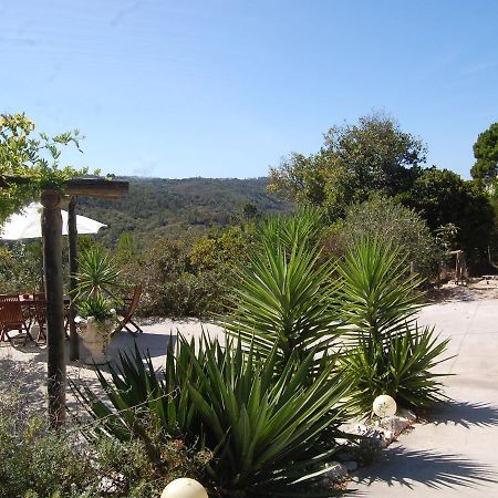 A Perfect Villa With Pool Terrace And Garden Alcobaca Exterior photo