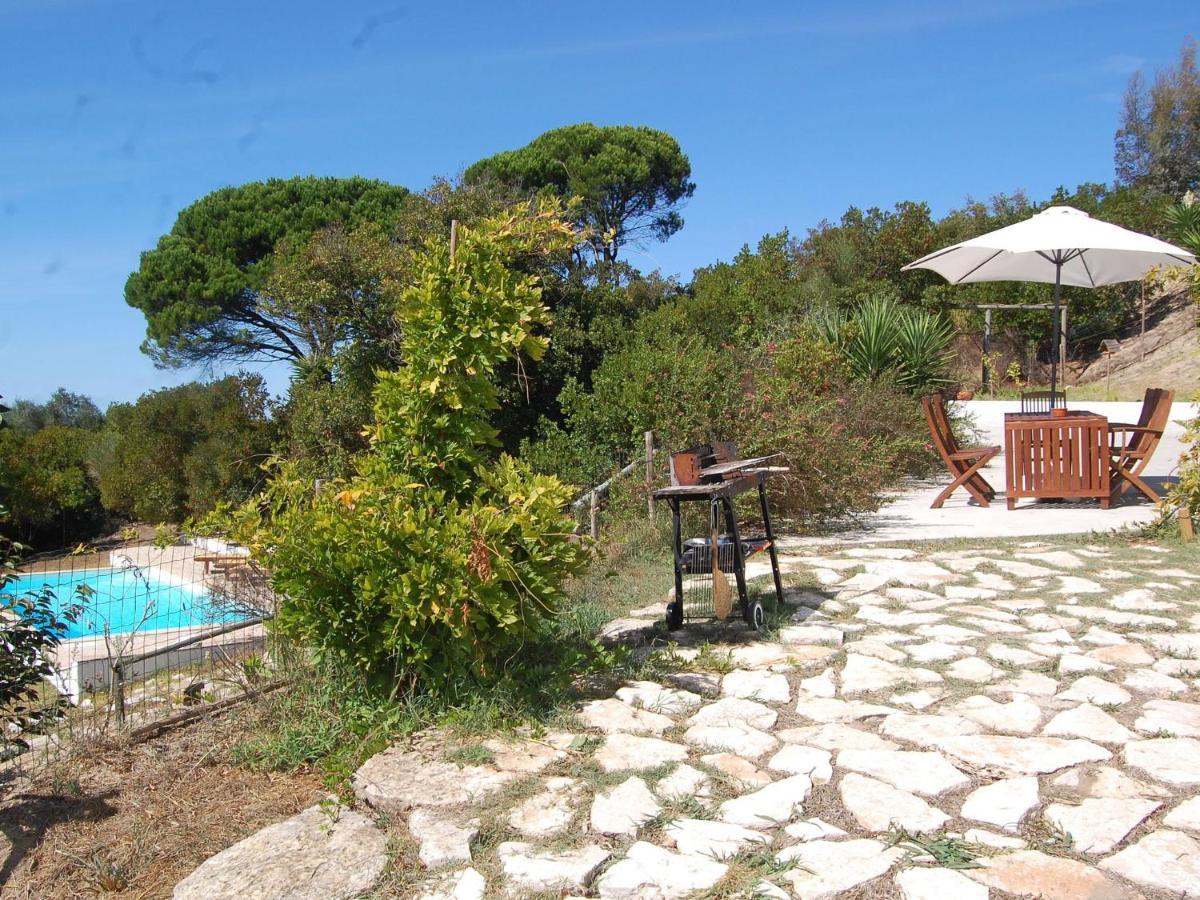 A Perfect Villa With Pool Terrace And Garden Alcobaca Exterior photo